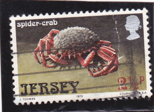 SPIDER-CRAB