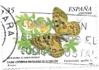 fauna española en peligro de extinción