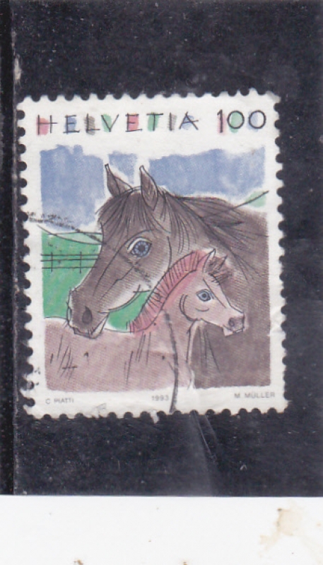 ILUSTRACIÓN CABALLOS 