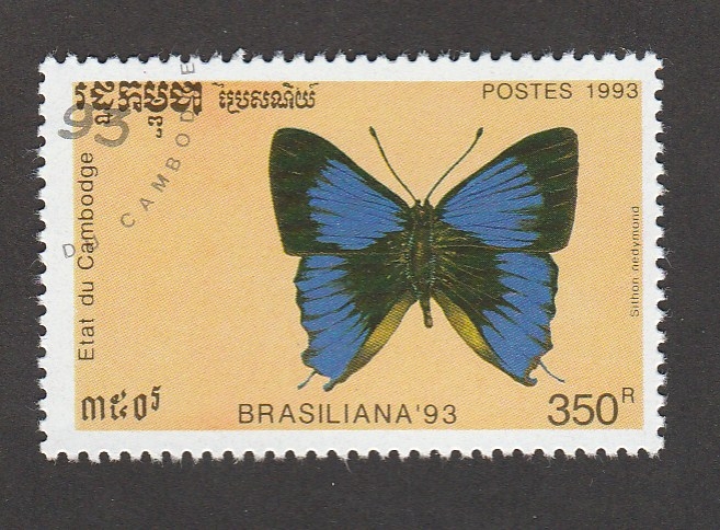 Brasiliana 93