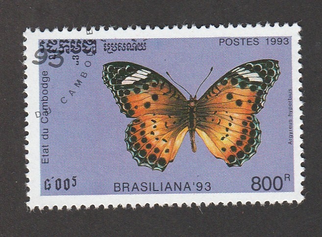 Brasiliana 93