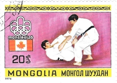 judo