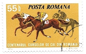 carreras de caballos