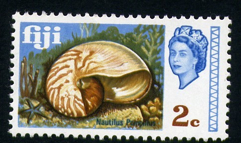 Nautilus