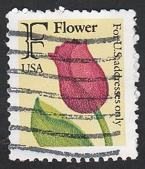 1928 - Flor tulipan