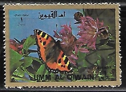 mariposas -  small format