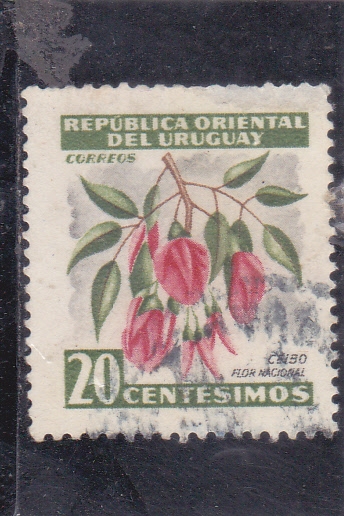 Ceibo-Flor nacional 