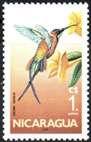  COLIBRÍ   TOPACIO