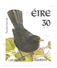 Pájaros