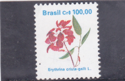 flores- Erythrina crista-galli