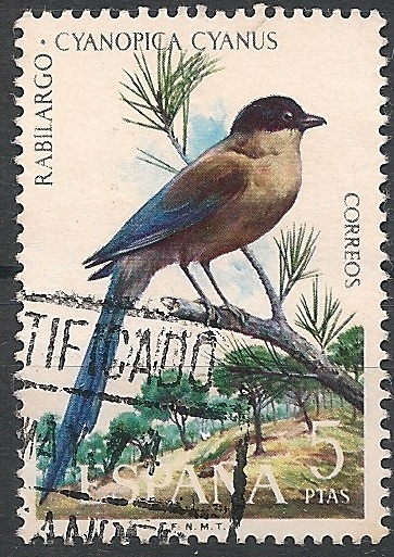 Fauna Hispánica. ED 2136