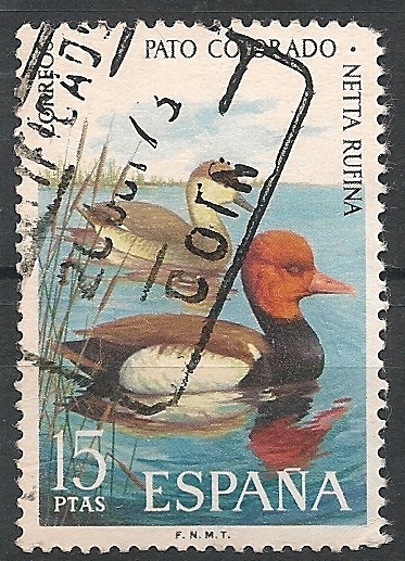 Fauna Hispánica. ED 2138 