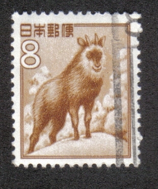 Fauna, Flora y Nacional, Serow Japonés (Capricornis crispus)