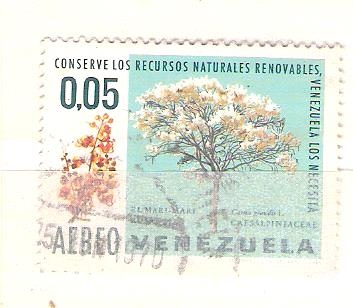 Mari-mari RESERVADO