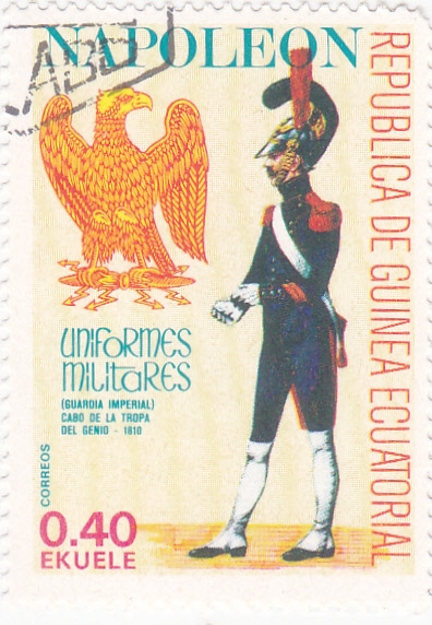 NAPOLEON- guardia imperial 