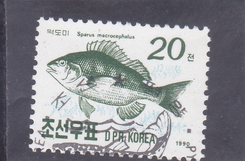 pez Sparus macrocephalus