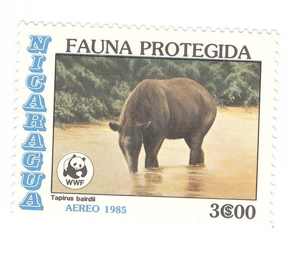 Fauna protegida. Tapirus Bairdii