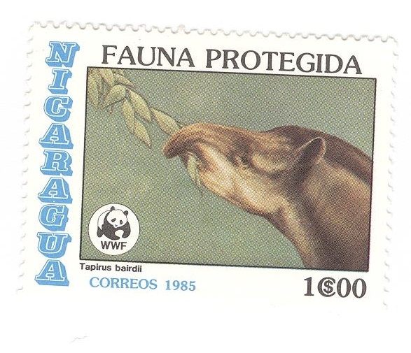 Fauna protegida. Tapirus Bairdii