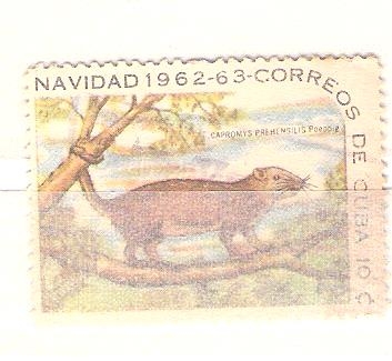 navidad RESERVADO