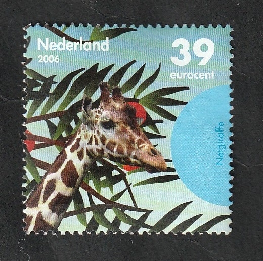 2345 - Cabeza de una jirafa