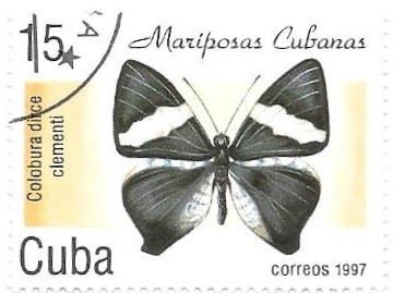 Mariposa