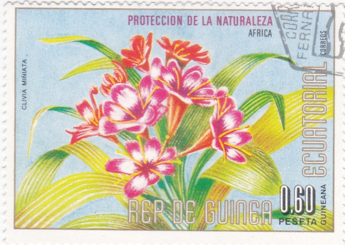 protección de la naturaleza