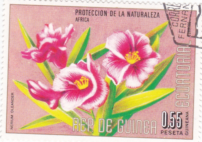 protección de la naturaleza