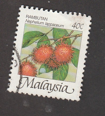 Rambutan