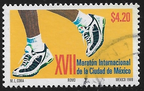 XVII Maratón Internacional de la Cd de México 