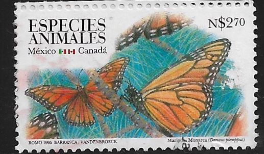 Fauna Migratoria México- Canadá, mariposa monarca 