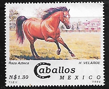 Caballos: Raza azteca