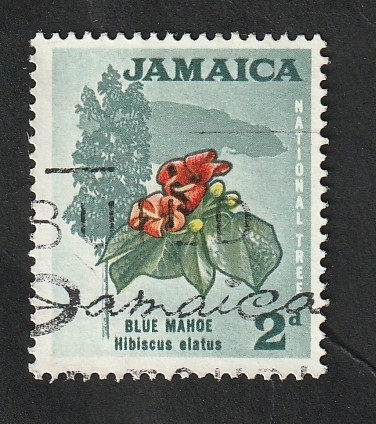 226 - Hibiscus