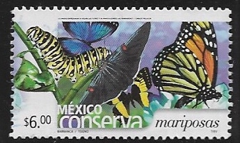 México conserva mariposas 