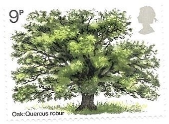 árbol