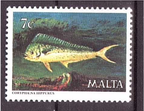 Fauna marina