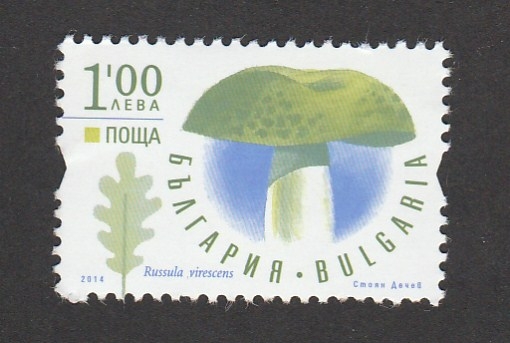 Russula viricens