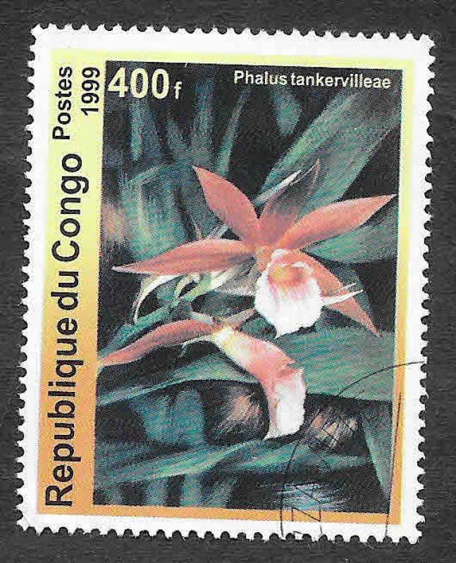 Mi1667 - Orquídeas