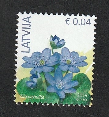 Flores, anemonas azules
