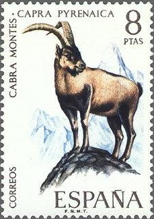 2040 - Fauna hispánica - Cabra montés