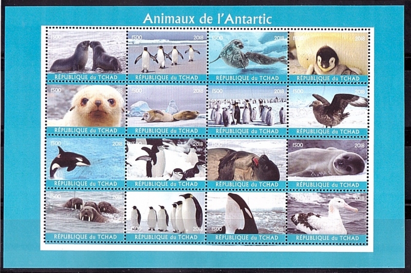 Animales del Antártico