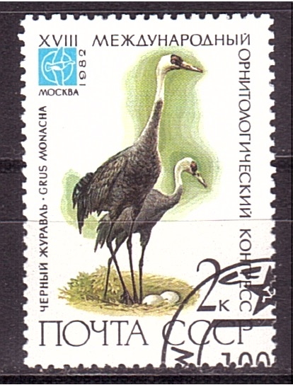 XVIII congreso Ornitológico Internacional
