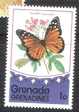 mariposa