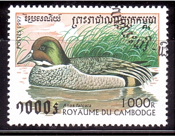 serie- Patos