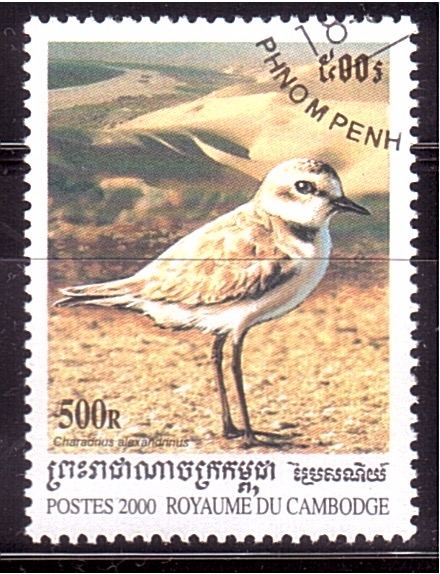 serie- Aves acuaticas