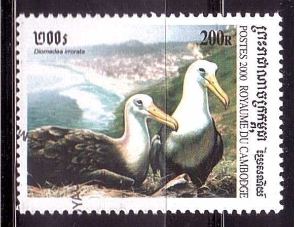 serie- Aves acuaticas