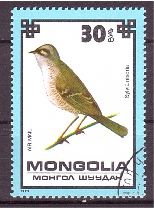 serie- Aves