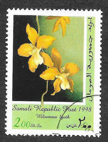 10-2 - Orquídeas