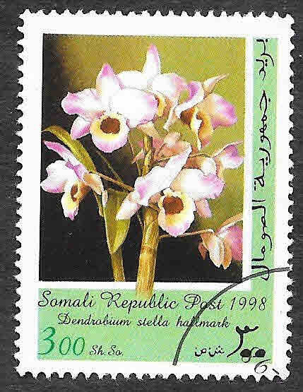 10-3 - Orquídeas