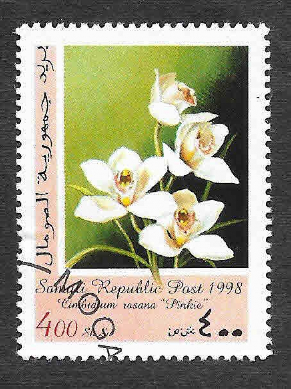 10-4 - Orquídeas