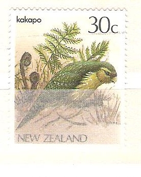 Kakapo RESERVADO